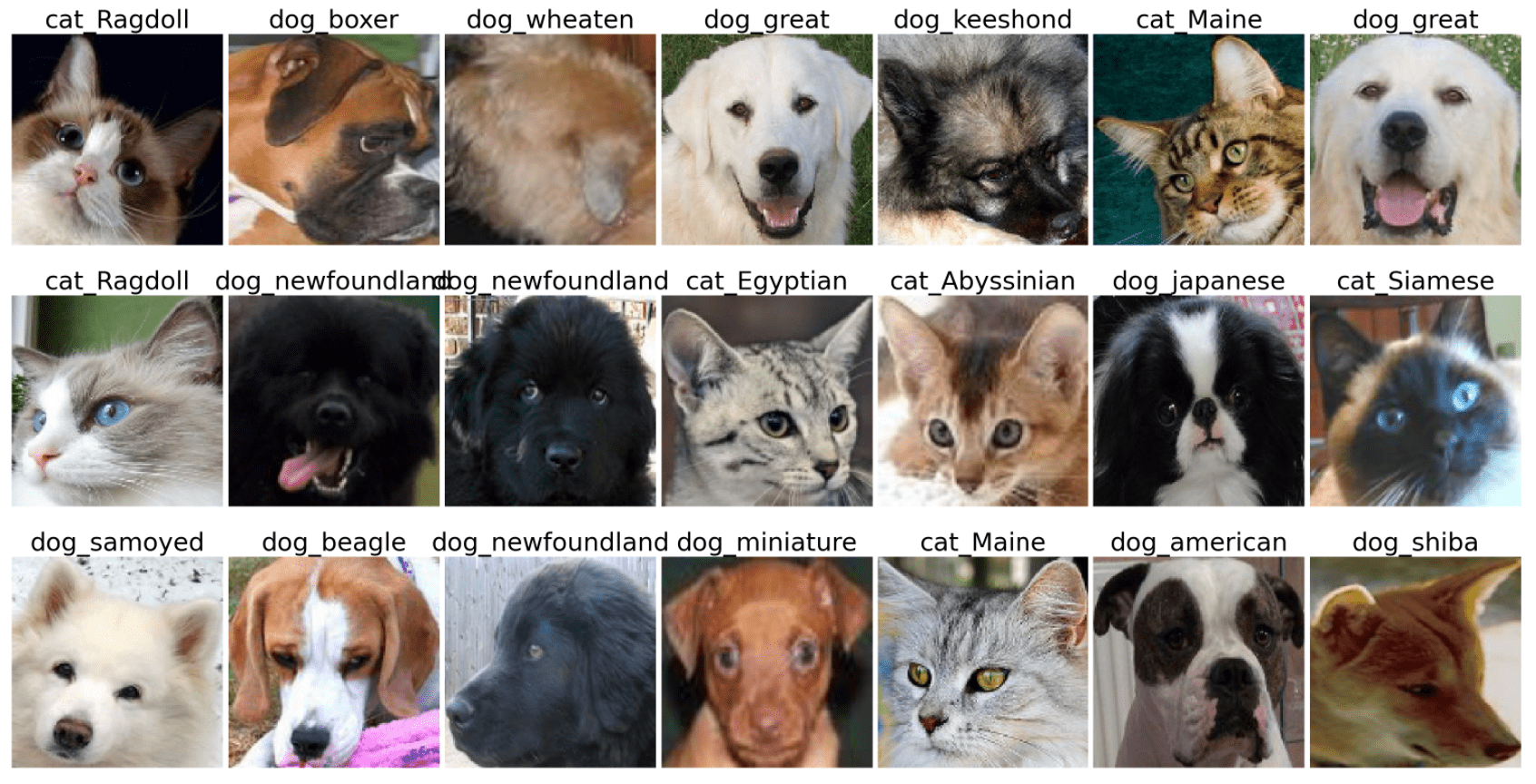 Introduction to Deep Learning for Computer Vision | Ready-to-use ...